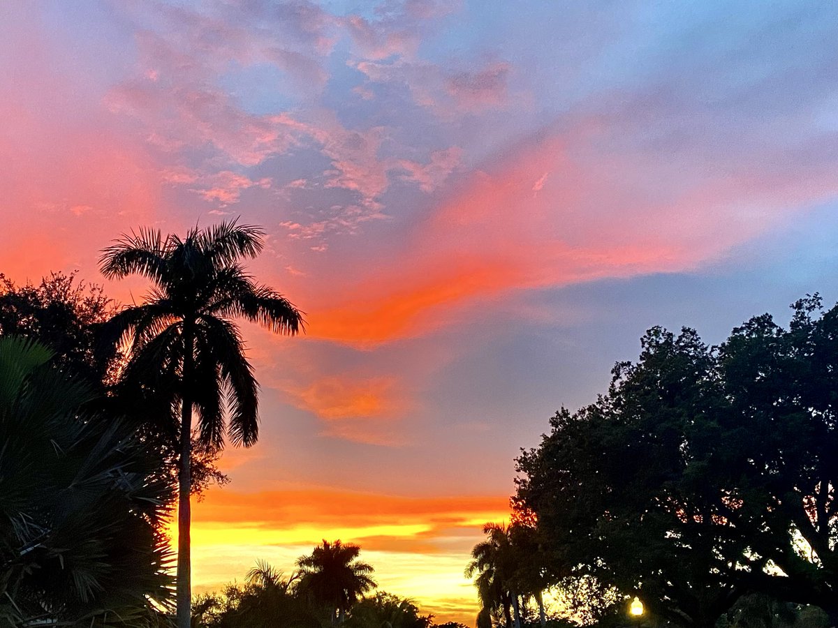 CP4Truth's tweet photo. How God created these gorgeous things is Devine,  it captivates the sense of Florida living, and makes me happy. https://t.co/PAnwhLnM4s