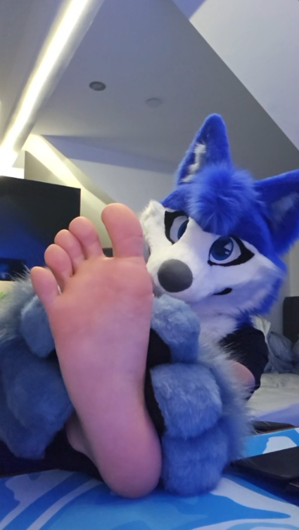 CosmoDaFox's tweet photo. Paws :3 https://t.co/MQUSoHYbKp