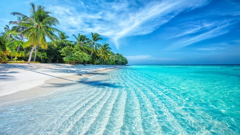 HaroldGometng's tweet photo. A Gentle Reminder to Prioritize Your Peace 🕊️ Sometimes, the most productive thing you can do is absolutely nothing at all. https://t.co/o33DYH0THK