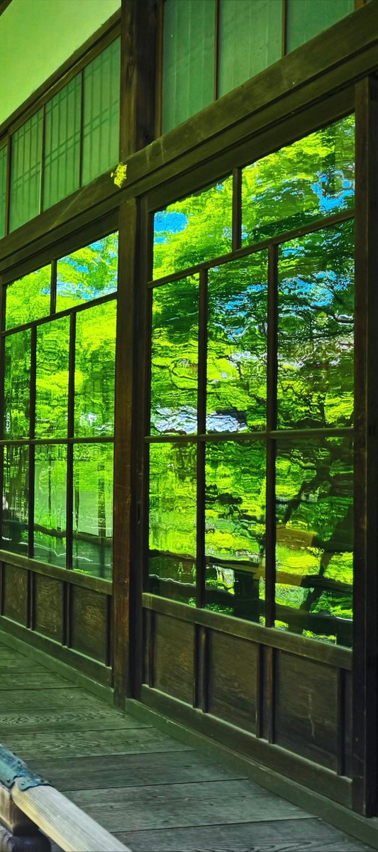 azukimochi_2nd's tweet photo. 京都 永観堂禅林寺の窓に映る美しい緑 https://t.co/HLXyGTgsHV