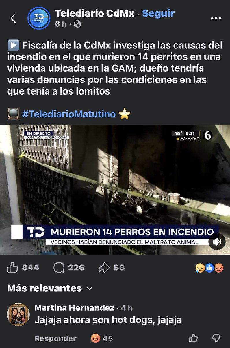 EscuadronSalchi's tweet photo. A la señora Martina Hernández le parece muy gracioso mofarse de la terrible tragedia donde fallecieron 14 perritos víctimas de la pirotecnia. 
Dice que trabaja en @OrgSoriana y @CityClubmx de ser así es lamentable que grandes empresas contraten a personal con esa calidad humana tan nefasta.
Quiere hacerse la graciosa, pues hagámosla famosa.
