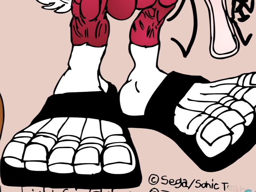 Zwerehogtoes's tweet photo. Chip The Light Gaia's Feet In Sandals Footwear POV Teaser🐺👣♥️🤍#ChiptheLightGaia #SonicUnleashed #SonicTheHedgehog #SonicTheWerehog #Werehog #SonicNSFW #Feet #Furryfeet #Barefoot #Sweatyfeet #Malefeet #Bara #Sandals #Footwear #Footfetish #Paws #Suggestive https://t.co/LtWUGWqwTY