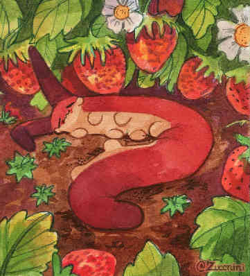 zuccnini's tweet photo. [oc] Strawberry nap, 2025 https://t.co/ssWXAQNdZ9