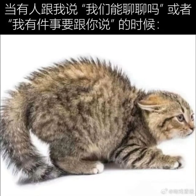 Poca2381's tweet photo. 我真就这样 https://t.co/HFoWWi6BPk