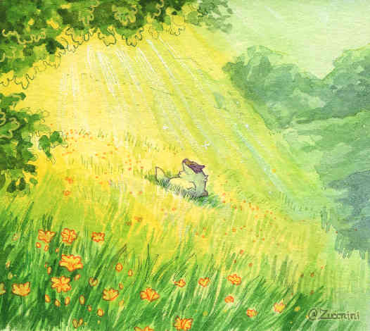 zuccnini's tweet photo. [oc] Sun bathing, 2025 https://t.co/k0zEc2tOli