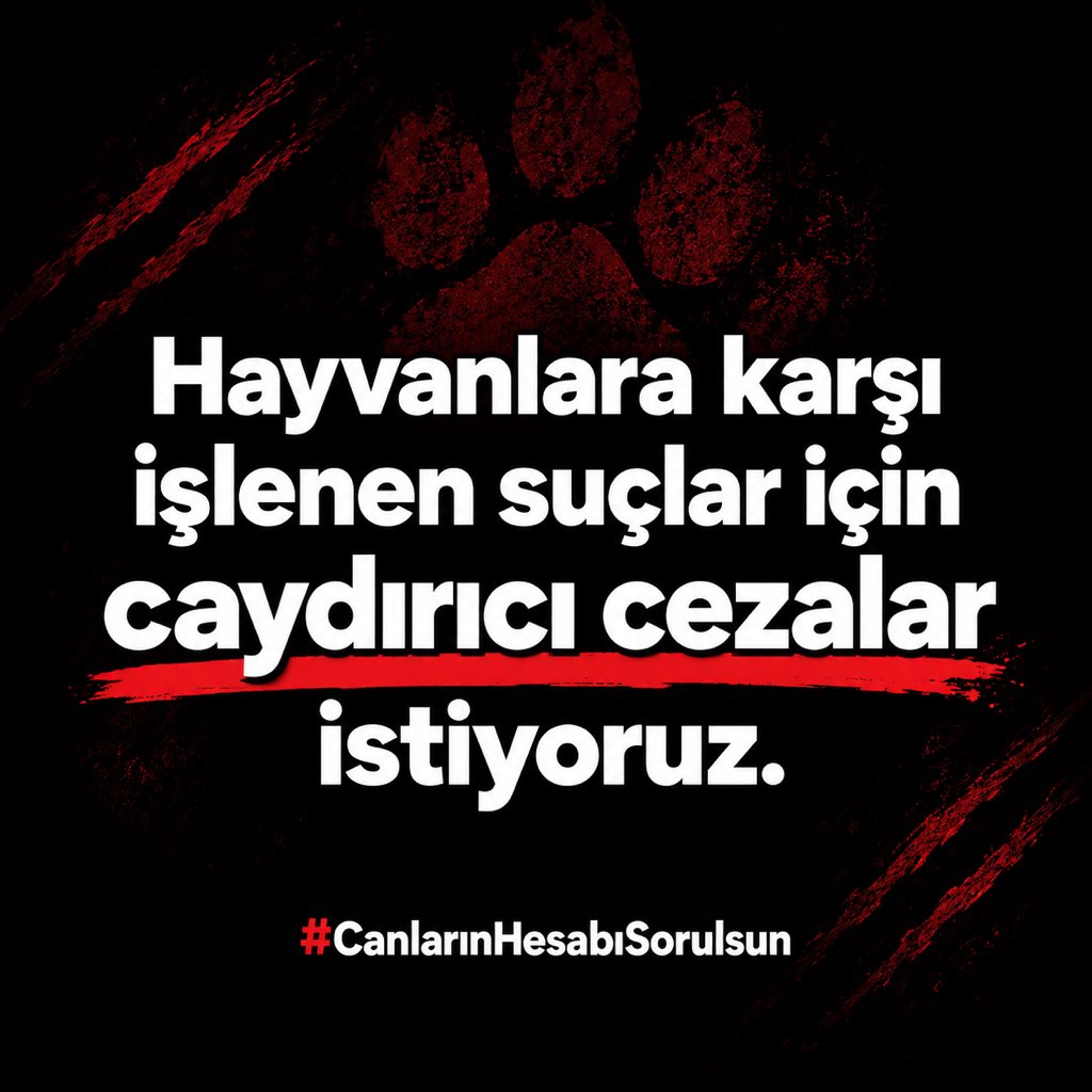 ayse0zer's tweet photo. Barınaklarda, sokaklarda, hayvanat bahçelerinde eziyet gören ve öldürülen
#CanlarınHesabıSorulsun https://t.co/NuoGceRwUV
