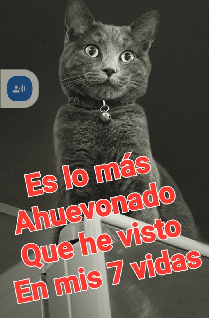 jplb2's tweet photo. @patricionavia El gusto de webiar por todo https://t.co/LFCF9swhSz