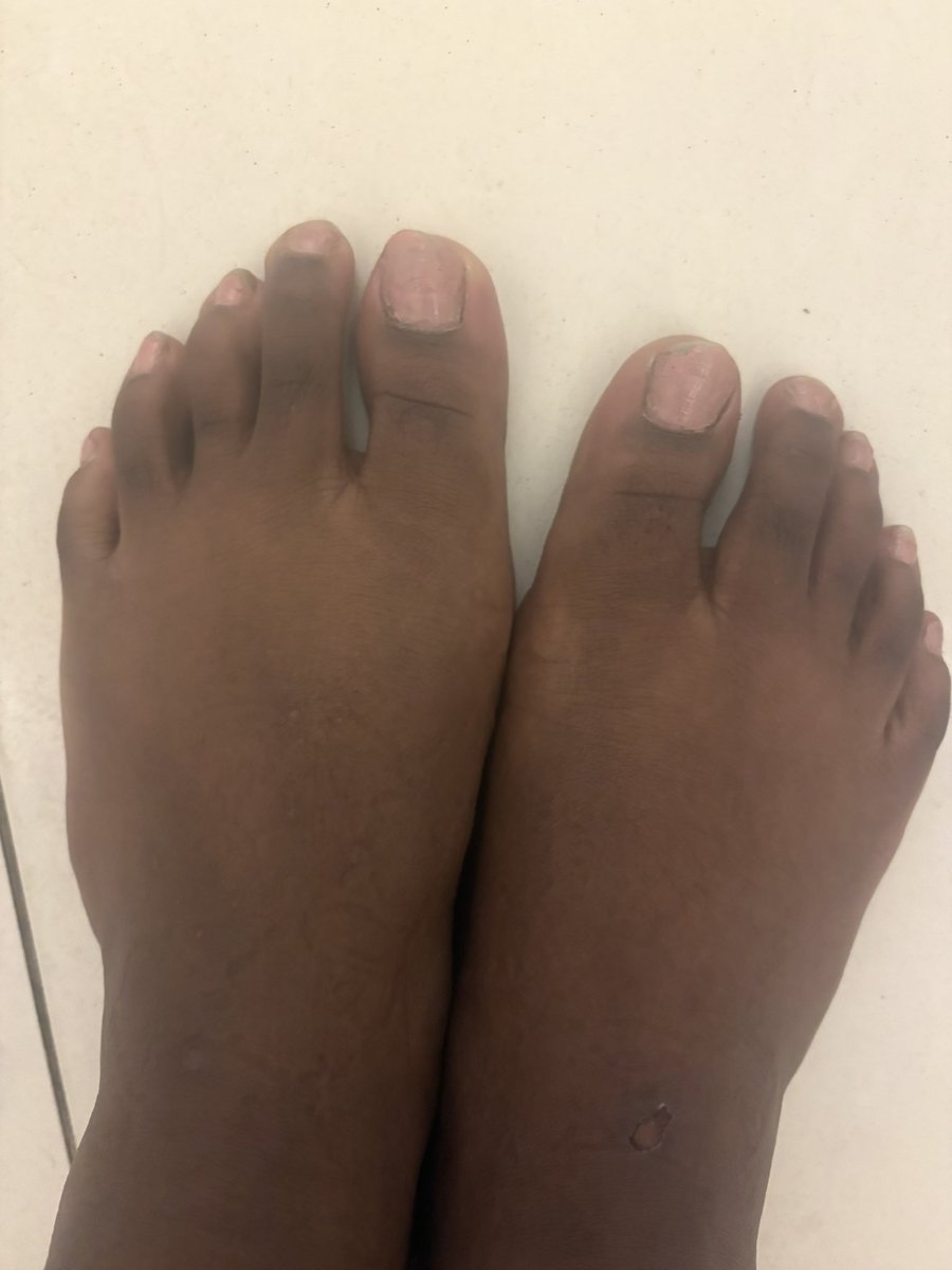 goddesslala15's tweet photo. It’s so difficult for to find a sub that’s into feet who will just send at will. Pay up, piggies. There’ll be plenty more of these where that came from 💋👣 

Fund my throne if you dare: https://t.co/pkHt5Ykz4R

#findom #paypig #feet #paypigs https://t.co/hSMUt28eCx