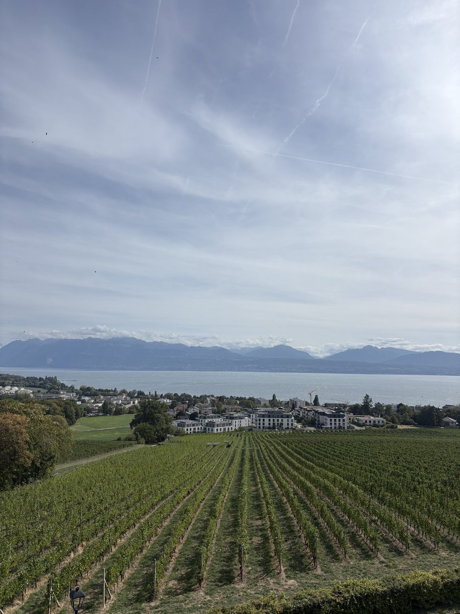 ysswxl's tweet photo. la vue du taff aujourd’hui 😍 https://t.co/UPlLzslkU3