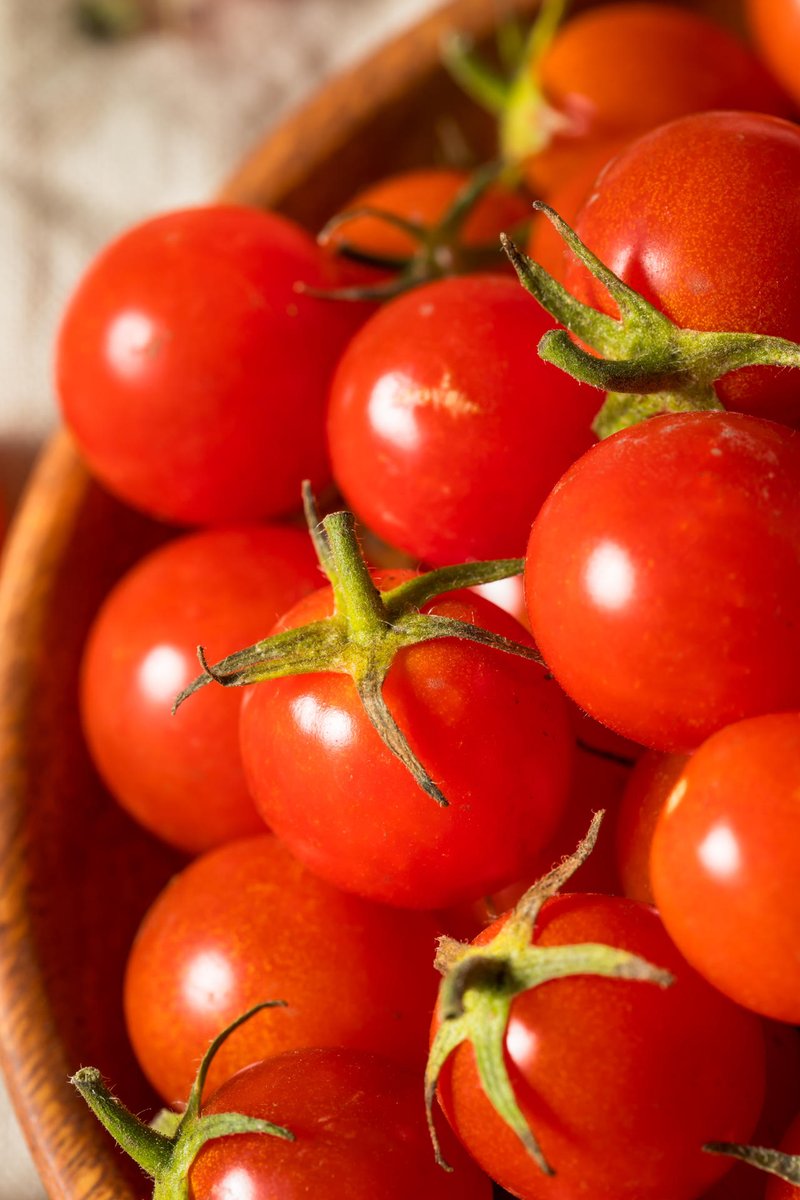 milki084378's tweet photo. Freshly harvested cherry tomatoes  from local farm—burst with juiciness u0026 natural sweetness, perfect for salads or snacking! No weird aftertaste, just pure, vibrant flavor. https://t.co/oHwxRVZGTc