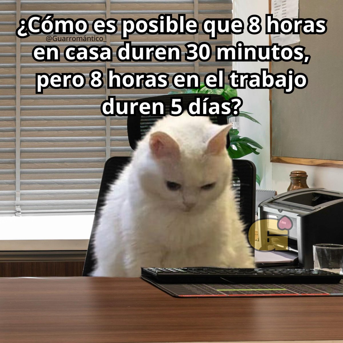 Guarromantico_'s tweet photo. Me pregunto yo. https://t.co/tMZOW4xqGK
