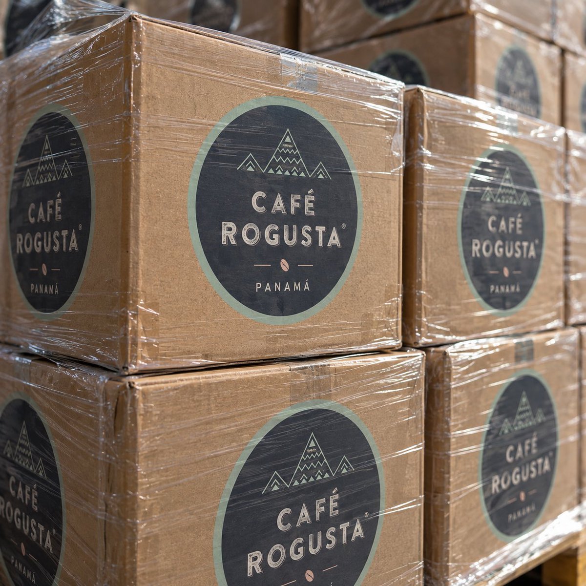 RogustaCoffeeCa's tweet photo. ✈️🇵🇦 Panama to Canada 🇨🇦☕

We’re happy to announce that our first shipment of Café Rogusta, 100% Panamanian Robusta coffee, is officially taking off from Panama today! ✈️

After months of preparation, our coffee is finally in the air and is expected to land in Canada tomorrow. 🇨🇦

To everyone who has already placed an order, THANK YOU! ❤️ Your support means so much to us as a small Canadian family business. Your coffee is getting closer, and you can expect your shipments to begin arriving early next week. 📦☕

From Panama 🇵🇦, where our coffee is grown, harvested, processed, roasted and packed, all the way to Canada 🇨🇦, this is just the beginning of Rogusta’s Canadian journey.

We’ll keep sharing the journey with you, from Panama ✈️ to Canada 📦 to your doorstep 🚚 and finally to your cup. ☕

Stay tuned! 🇵🇦🤝🇨🇦

🛒 https://t.co/NYZe5IibwG (Order yours now!)

#RogustaCoffee #CafeRogusta #RogustaCoffeeCanada #PanamaCoffee #PanamanianCoffee #RobustaCoffee #100PercentRobusta #CoffeeCanada #CanadianCoffee #CoffeeLovers #CoffeeTime #CoffeeCulture #Panama #PanamaCanal #Canada #Ontario #ParrySound #NorthernOntario #PanamaToCanada #AirFreight #SmallBusinessCanada #CanadianSmallBusiness #ShopCanadian #SupportSmallBusiness #CoffeeJourney #CoffeeImport #FromPanamaToCanada