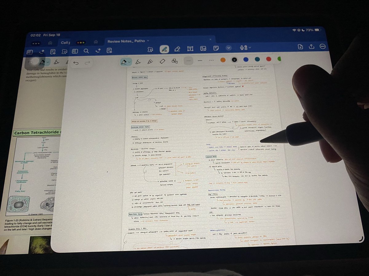 0_Shun_0's tweet photo. I cant anymore- #studytwt https://t.co/VXiNG0Su06