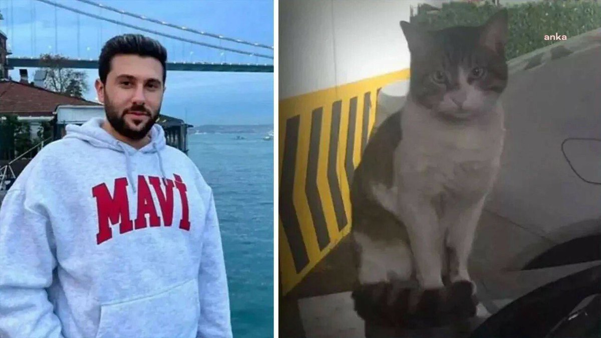 nah_ic_'s tweet photo. Eros'un katilini serbest bırakmasaydınız Minik'i katletmeye cesaret edemezlerdi
#CanlarınHesabıSorulsun https://t.co/uaBkr4vKhh