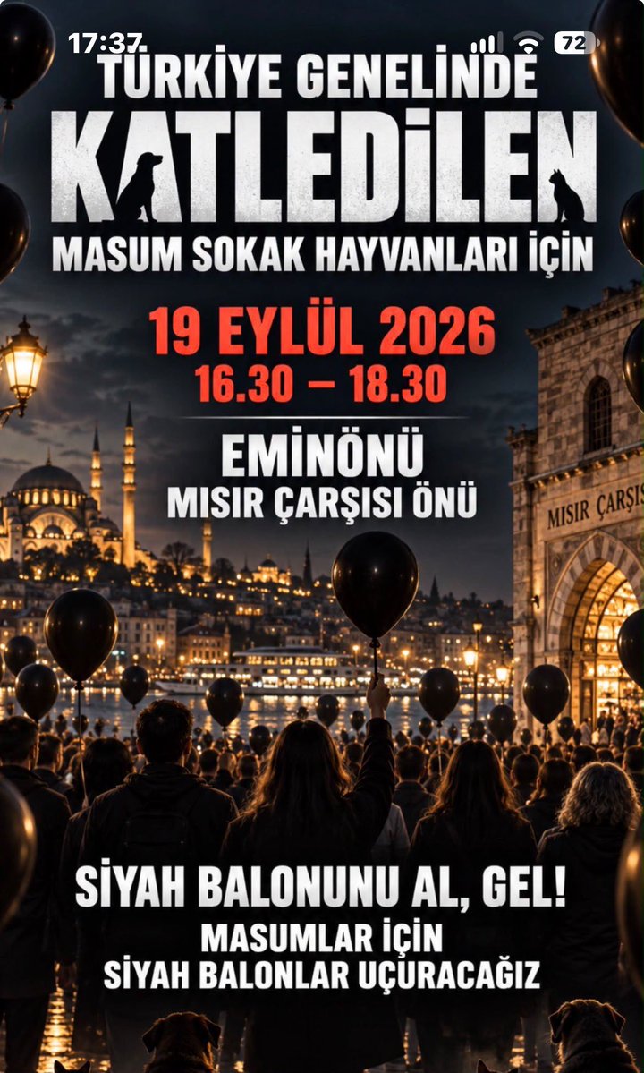 NAKOhardy's tweet photo. @ZaferArapkirli Sokak hayvanları sahipsiz değildir onların sesiyiz ...
#CanlılarınHesabıSorulsun https://t.co/A9UlaoYmnV
