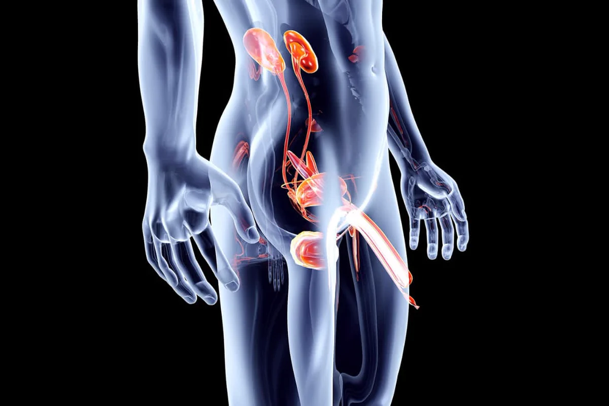 Mindful Health on X: 