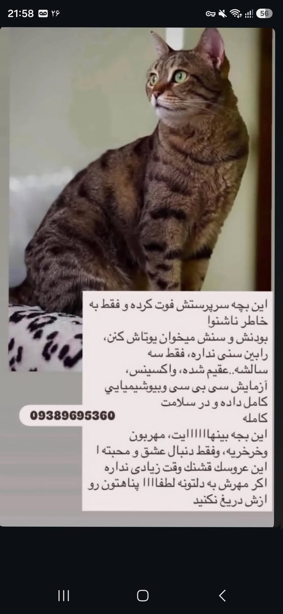 paeezaan's tweet photo. این بچه صاحبش فوت کرده
بازماندگان میخوان بخاطر ناشنوایش یوتاش کنن
کمک تو روخدا

#ریتوییت https://t.co/Ln5JOYv8gz