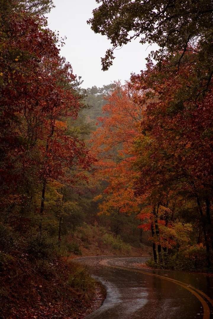 smireyron's tweet photo. How does my Pinterest see me? 
Style 
Color  
Character  
Atmosphere https://t.co/X2gaFppm7G