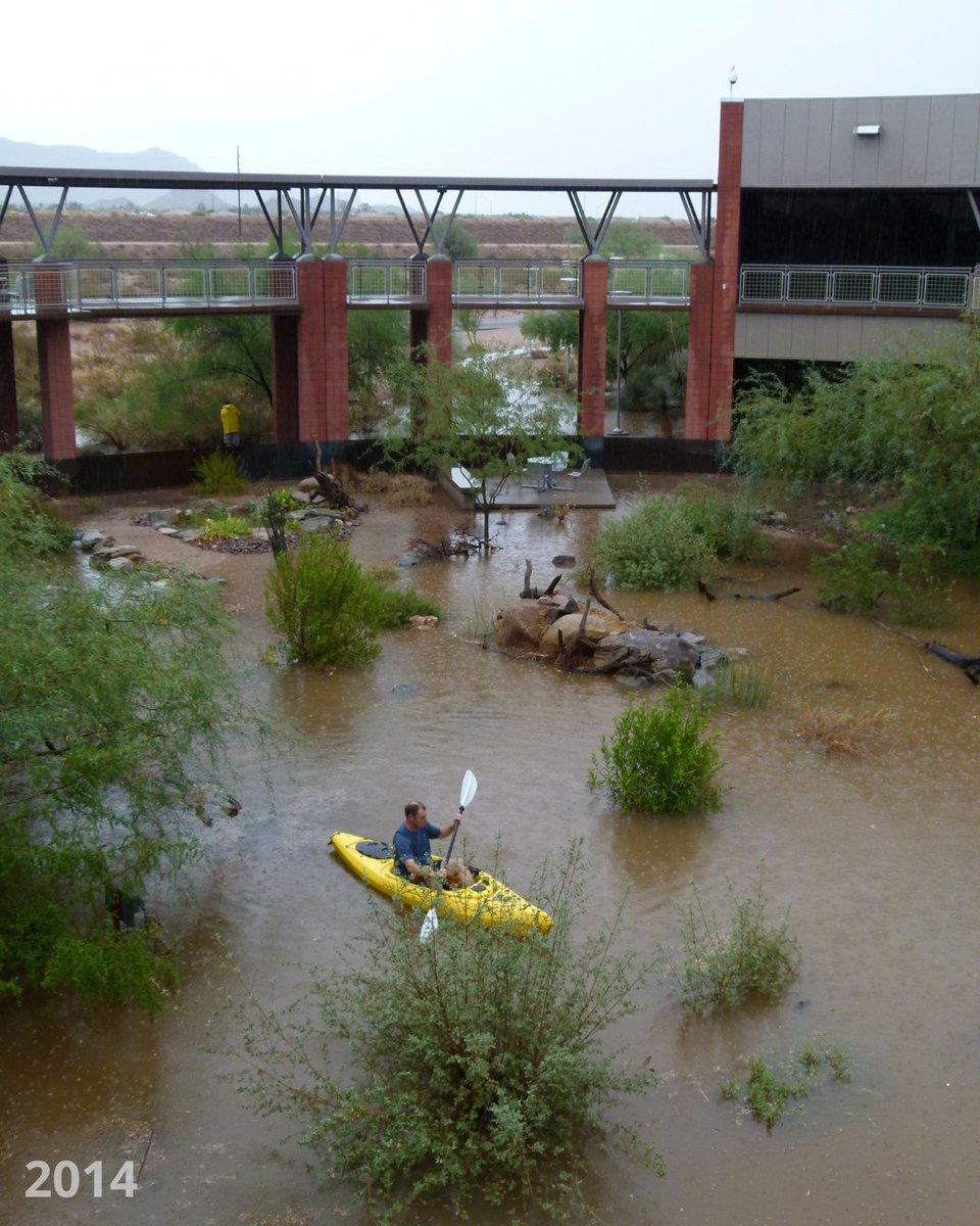 mesacc's tweet photo. The rain brought back a vivid Red Mountain memory for us. 🌧️

After yesterday’s rainfall filled the Cienega at the Red Mountain Campus, we had to dig into the archives. Swipe to 2014 to see how one MCC employee navigated another very rainy day. https://t.co/qcsDlks9Vd