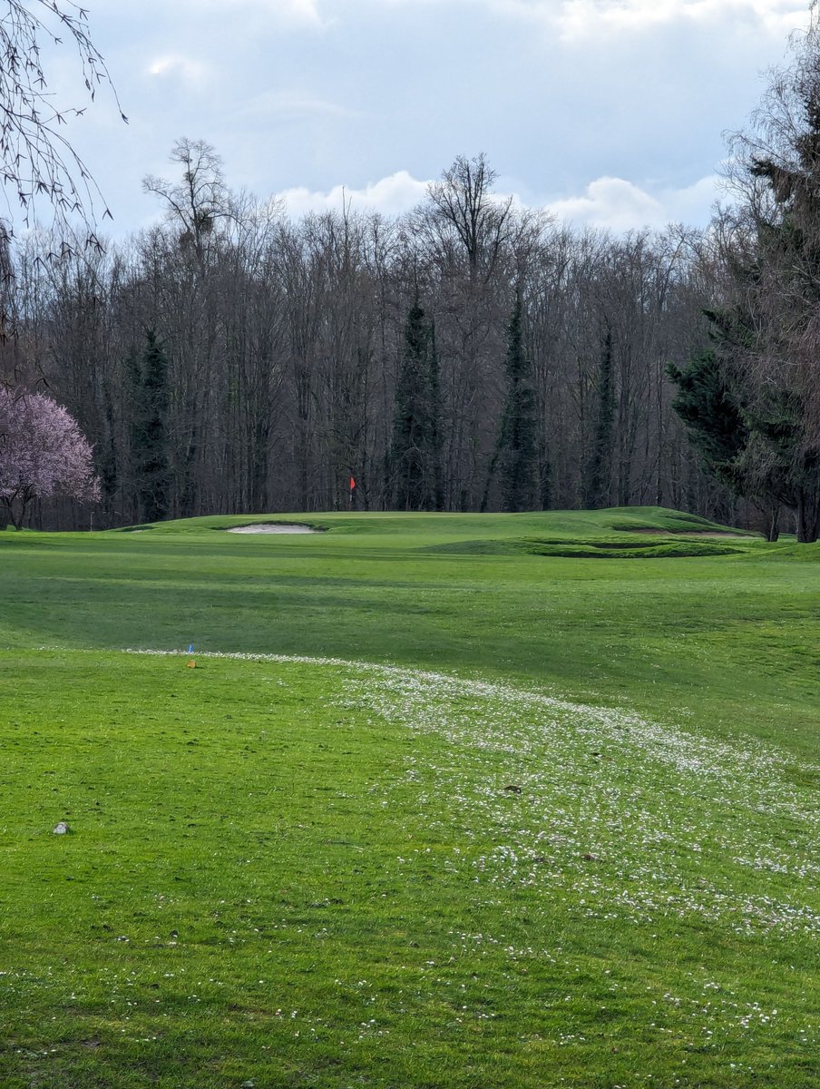 diane_renard's tweet photo. After a lesson, I was at the wetland tee on a misty day. For extension, the swing felt settled and direct. I was with a photographer, and we were positive. I felt bonded. #GolfFitness #OutdoorHobby https://t.co/NTE9wN7F1D