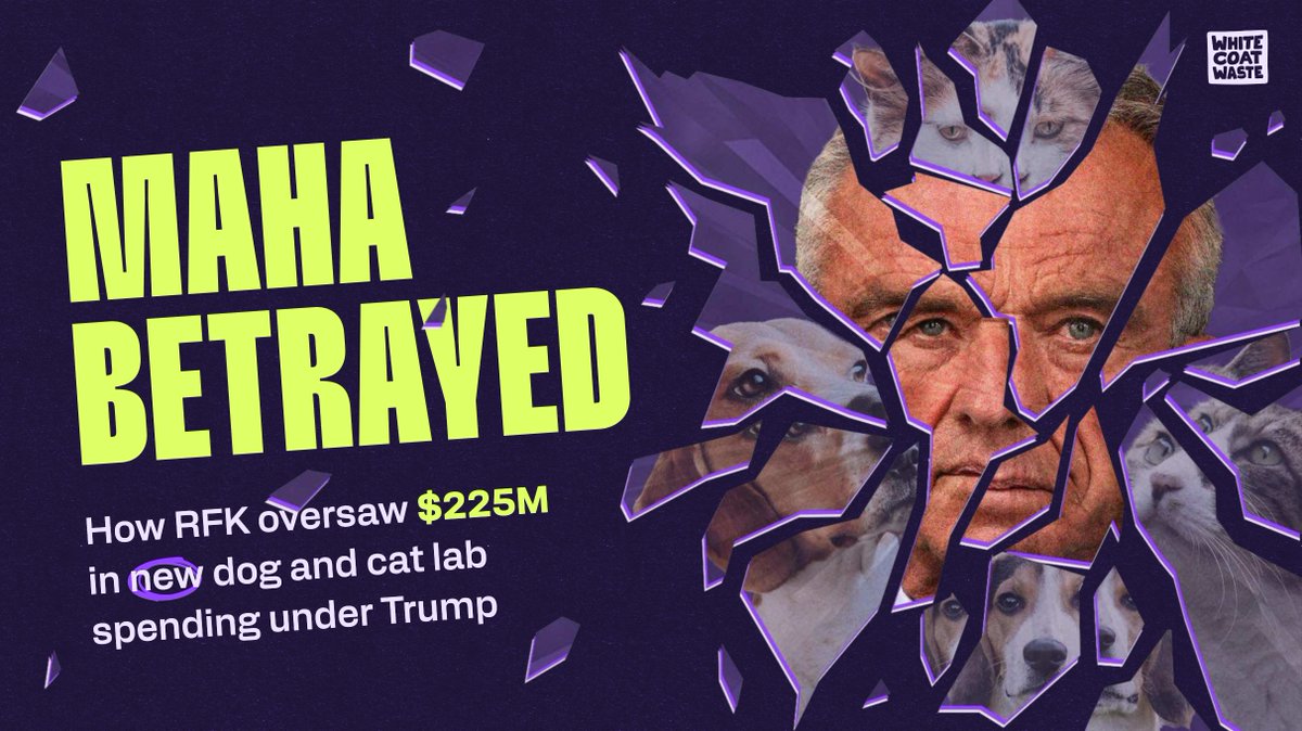 WhiteCoatWaste's tweet photo. RFK Jr. promised a “dramatic reduction” in NIH animal testing.  

From Fauci’s beagle tests to drilling holes in cats’ skulls, we followed the money — and the receipts tell a different story.