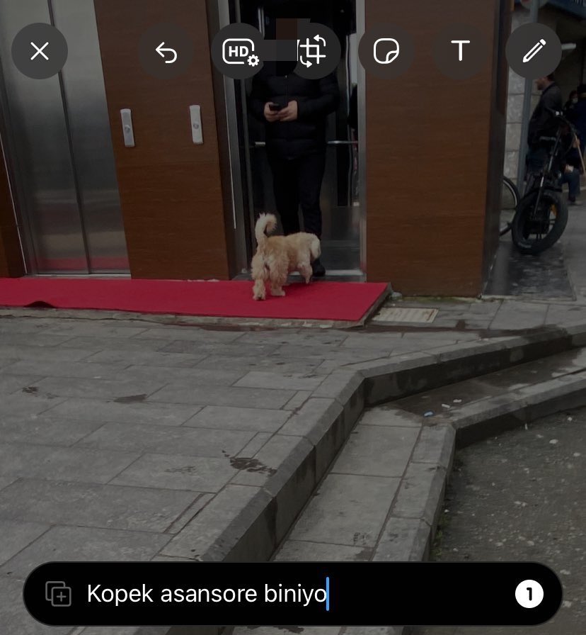 evileyesonme's tweet photo. bizim her şeyi haber verme isteği https://t.co/PgVCNzUM2t
