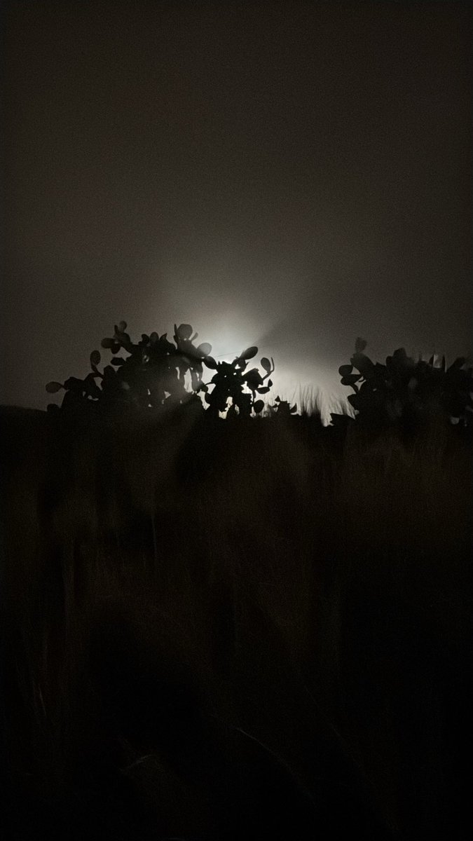 _swaggy_pan's tweet photo. "Diffraction" https://t.co/hKopoYQ2TP