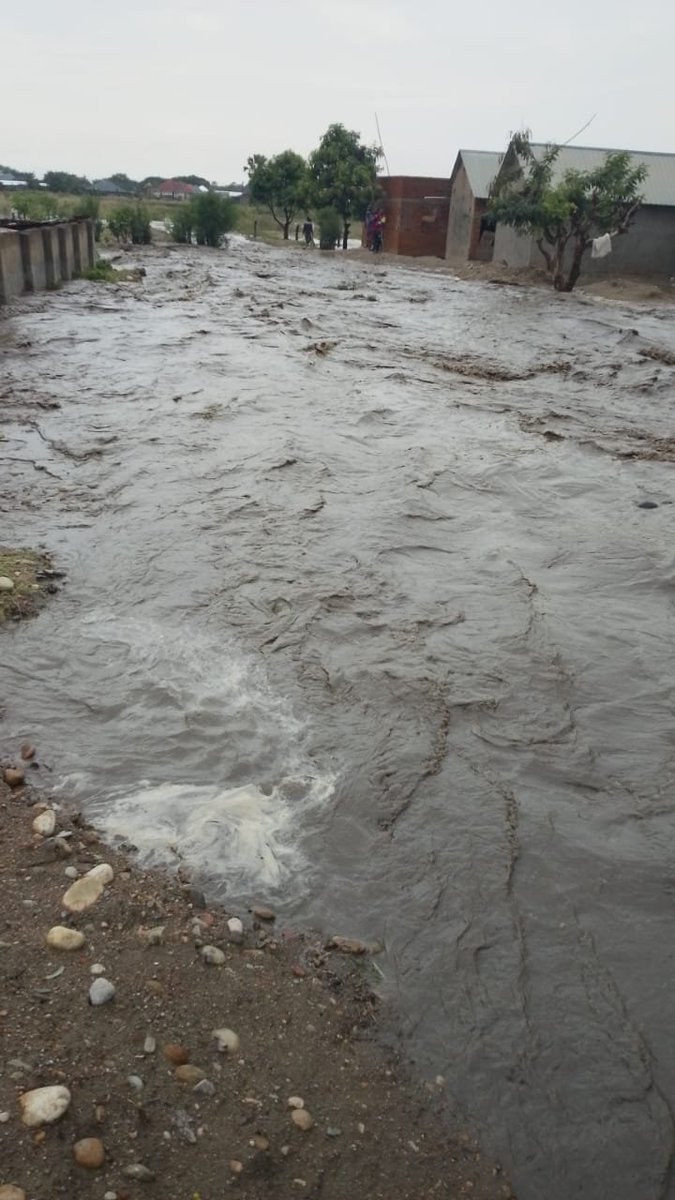Maru_foundation's tweet photo. After months of heat &amp; dry conditions that left crops struggling, R. Nyamwamba has now burst its banks in Kasese— Uganda.

This is why early warning must be matched with early action.

Doing more to reach vulnerable communities before this becomes a bigger disaster.

#wtpEarth https://t.co/SMxKZL9Co5