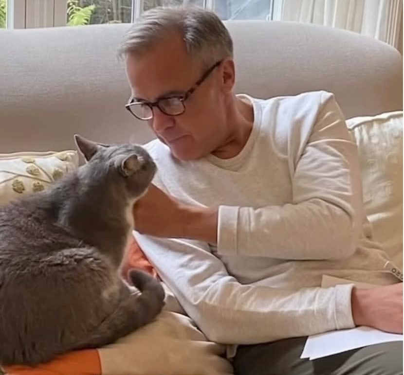 LorenzoTheCat's tweet photo. I'd like to ask my friend Nico Carney @CarneyPurr67561 to please tell his dad, @MarkJCarney, that most of the world thinks the prime minister is doing a most impressive job. Yay, Canada! https://t.co/w92ZSRu4Oa