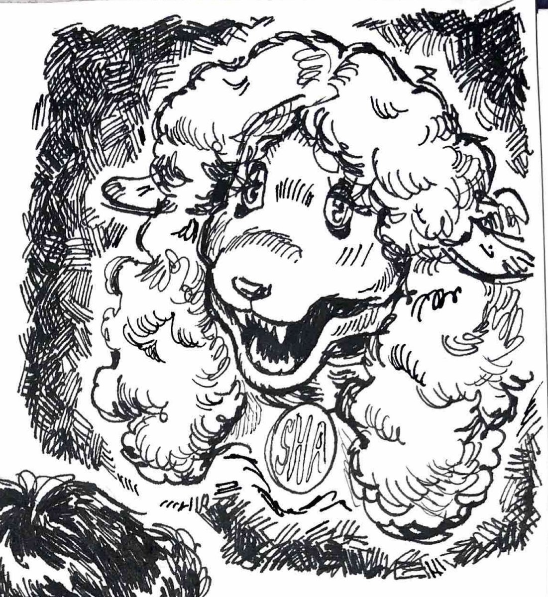 eggfieldart's tweet photo. Rosemary and Sha drawings from my sketchbook🎨🐑
#TheWaltenFiles #twf https://t.co/9Eyk2u4bxC