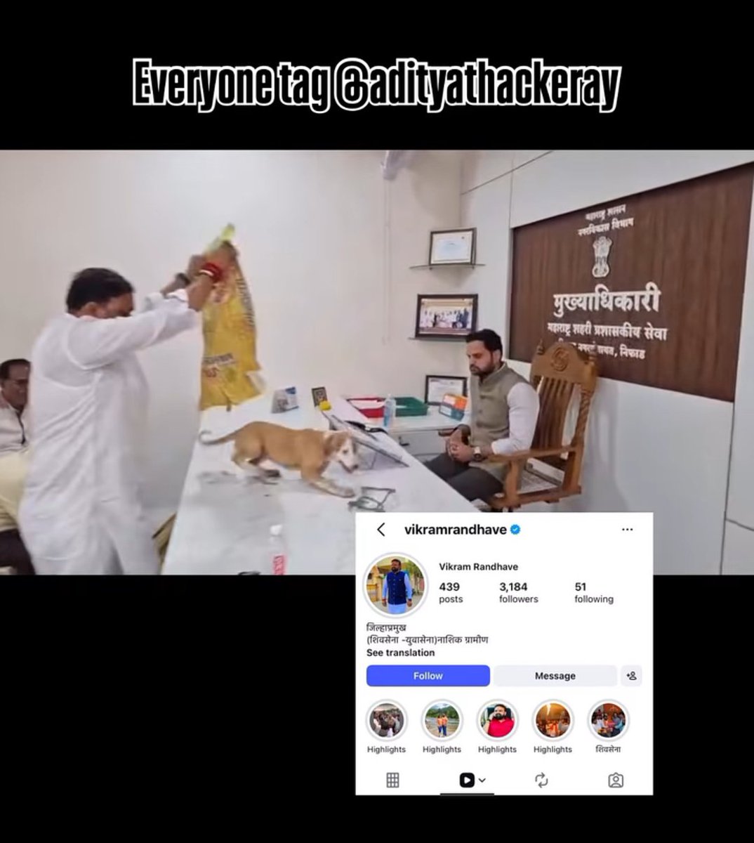 dilthi_gujarati's tweet photo. Tying living stray dogs inside gunny bags like garbage is barbaric and illegal
Animal cruelty cannot be used as political leverage under any circumstances
@meenakshisharan @TheRupali 
#SaveIndianDogs #StopAnimalCruelty #AmendPCA https://t.co/vF9dgluG0F