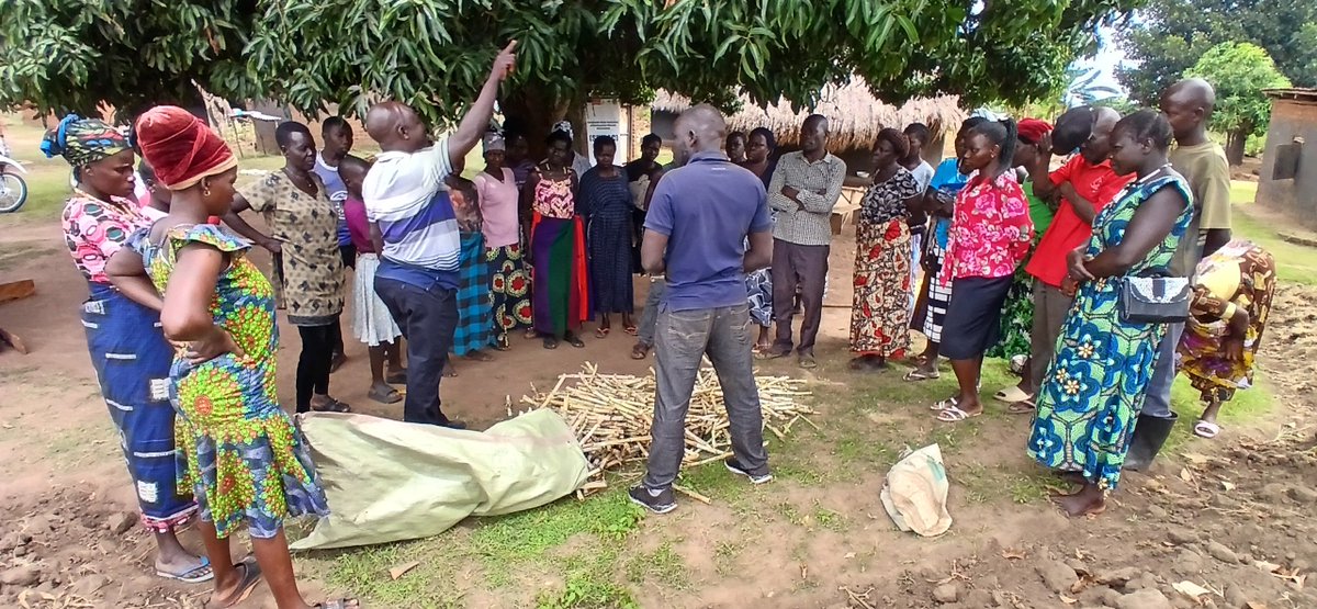 UgandaRiad's tweet photo. The urban farmers resilience training is on going,  the programme will focus to reach out to 1050 individuals to participate in the trainings basing on the enterprises selected by the those farmer groups in the city.
The city production office and RIAD team are demonstrating. https://t.co/V4aTJaxdm0