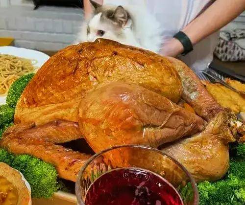 milkr300758's tweet photo. Thanksgiving feast drop: Juicy roasted turkey, creamy pumpkin pie u0026 all the cozy sides! Tag your dinner crew to hype today’s eats! https://t.co/8F0X4fZgrB