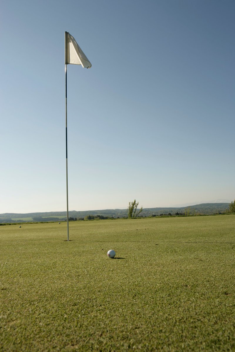 JerryDeLeo0fjd's tweet photo. For spacing, the swing felt settled and smooth at the pine fairway on a clear day. I was there after a meeting with a member, and we were enthusiastic. I felt motivated. #GolfJourney #CourseTime https://t.co/alcbkvWbXi