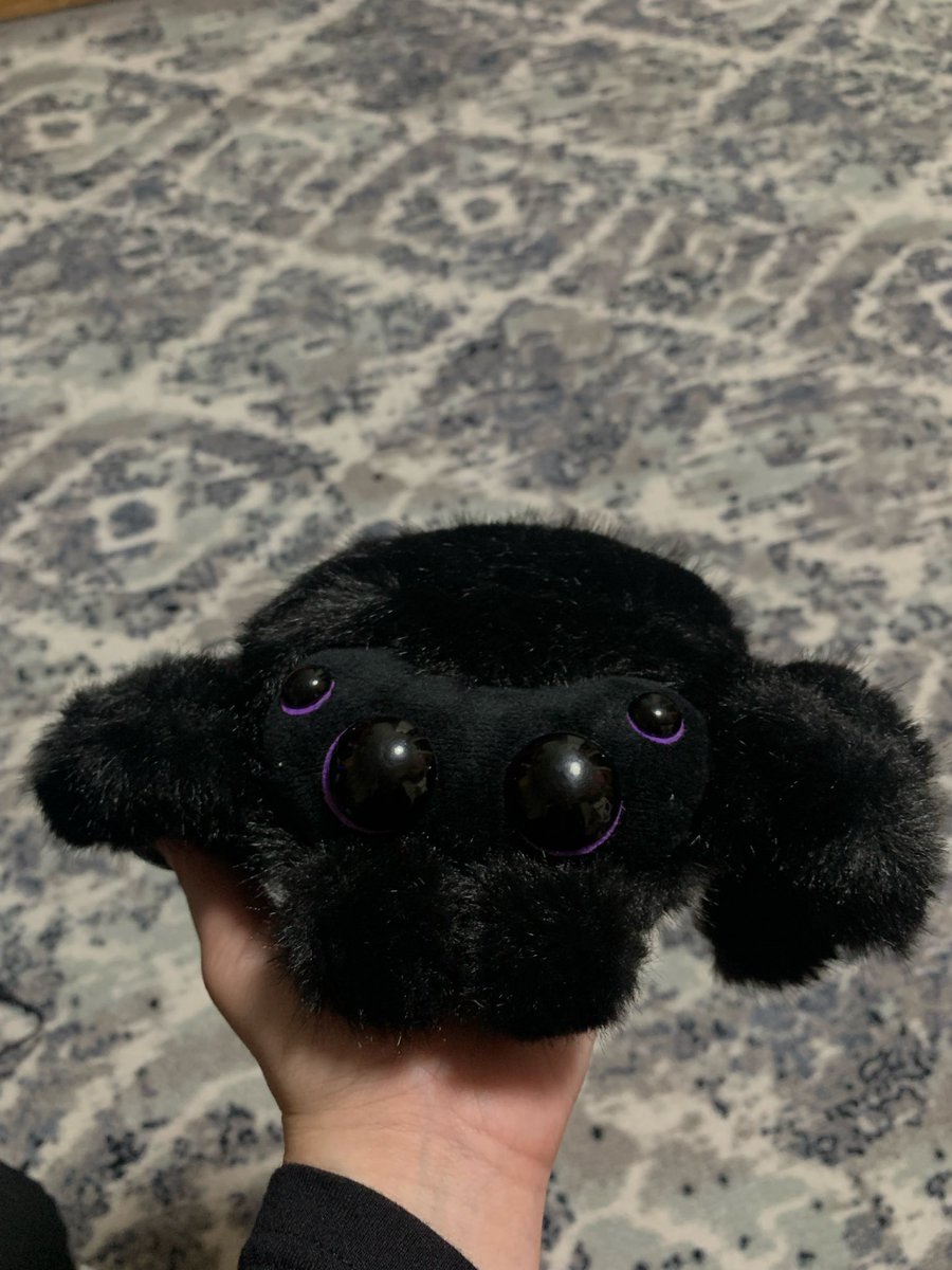fox_lilil's tweet photo. мне паучка подарили 🥺 https://t.co/pKkiHjvA1c