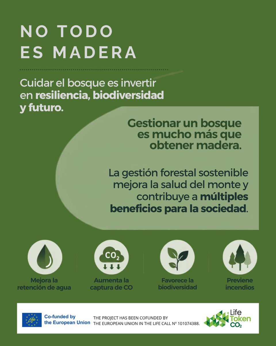 LifetokenCO2's tweet photo. Gestionar un bosque no es solo obtener madera. Es mejorar la retención de agua, proteger el suelo, favorecer la biodiversidad, reforzar la captura de CO₂ y reducir su vulnerabilidad frente a incendios.
#LIFETOKENCO2 #Orthem https://t.co/5JQfwI9ps0
