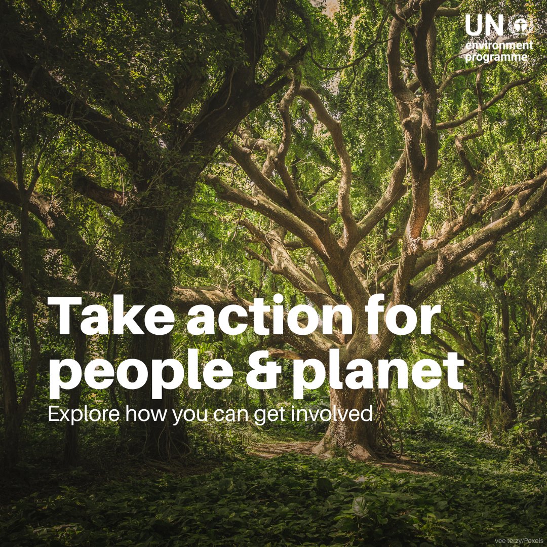 UNEP's tweet photo. Protecting the planet is a shared mission.

From daily choices to global initiatives, UNEP gives you ways to get involved and invest in a better future.

Explore how you, too, can make a difference #ForPeopleForPlanet: https://t.co/It93yEWEI9 https://t.co/55uSDMdTfr