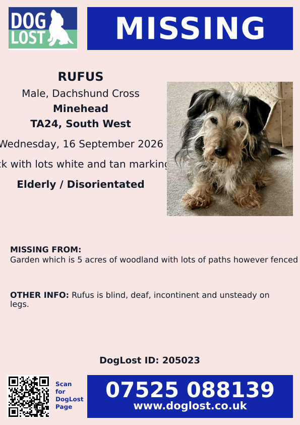 millypod1's tweet photo. 🆘16 SEPT 2026 #Lost Rufus #ScanMe
ELDERLY Dachshund Cross Male
Rufus is blind, deaf, incontinent and unsteady on legs.
Garden which is 5 acres of woodland with lots of paths however fenced off.....#Porlock #Minehead #TA24 #Somerset 
https://t.co/QXt2Qw5mgN https://t.co/Q3i7LUYyX3