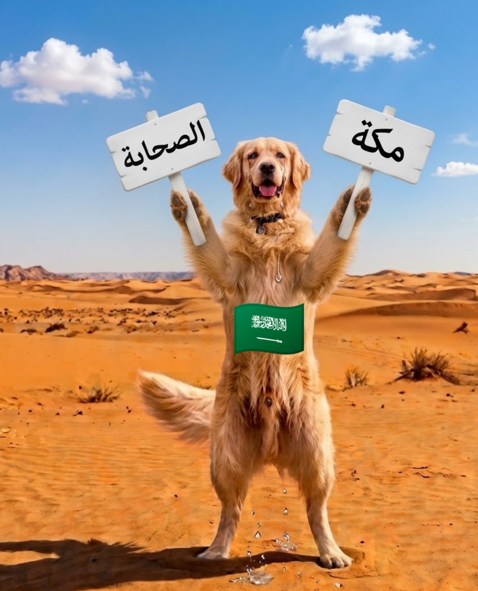 mustafa1albadri's tweet photo. السعودية كلما تحاصرت: https://t.co/KDsYXSl3J1