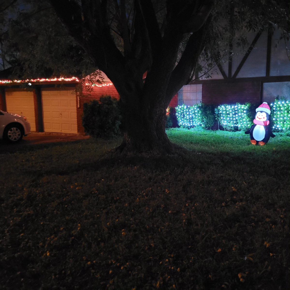 zoeythompsonhub's tweet photo. It’s officially the holidays at the Brown-Butterfras house! We hung lights yesterday, and today we’re having cocoa with candy canes. Middle Brother accidentally turned his into a shiv. Happy holidays! https://t.co/8138aMf5qW