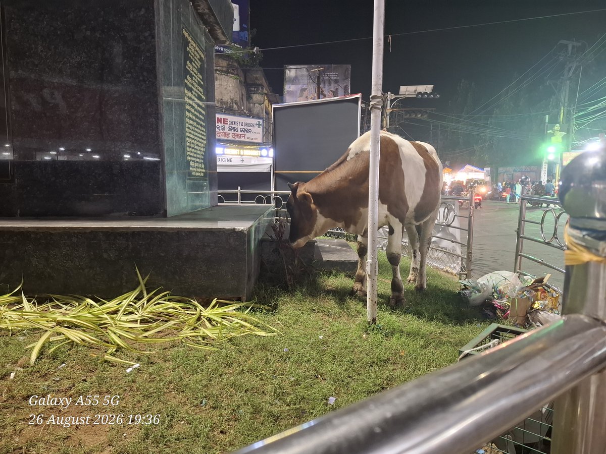 SalilghoshBjp's tweet photo. ବାରମ୍ବାର ଫୋଟ ପୋଷ୍ଟ କରି ଜଣାଇବା ସତ୍ୟ ବକ୍ସି ବଜ଼ାର ଛକରେ ଭାଙ୍ଗିଥିବା ଗେଟ ଆଜିଯାଇ କାମ ହେଲା ନାହିଁ। KMC ମେୟର ମହାଦାୟ ଟିକେ ନଜର ଦେଇ କାମ ଶୀଘ୍ର କରିବାକୁ ଅନୁରୋଧ।
@KMCKataka https://t.co/vTkDWpxuC3