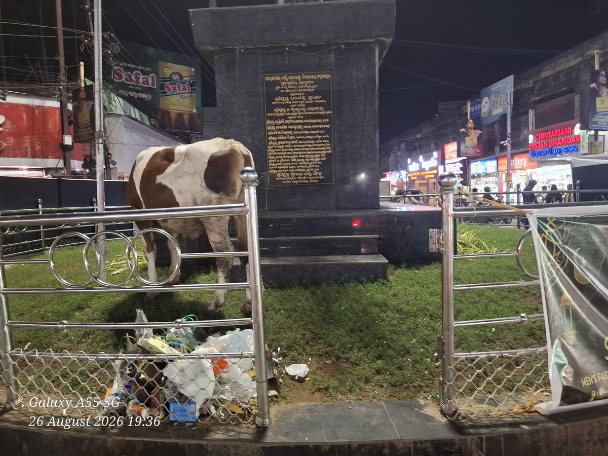 SalilghoshBjp's tweet photo. ବାରମ୍ବାର ଫୋଟ ପୋଷ୍ଟ କରି ଜଣାଇବା ସତ୍ୟ ବକ୍ସି ବଜ଼ାର ଛକରେ ଭାଙ୍ଗିଥିବା ଗେଟ ଆଜିଯାଇ କାମ ହେଲା ନାହିଁ। KMC ମେୟର ମହାଦାୟ ଟିକେ ନଜର ଦେଇ କାମ ଶୀଘ୍ର କରିବାକୁ ଅନୁରୋଧ।
@KMCKataka https://t.co/vTkDWpxuC3