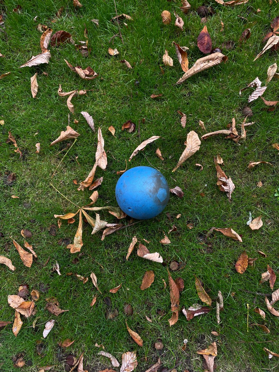 75Gooody's tweet photo. With a coworker, I was at the oak course on a cool day after brunch. We were welcoming. The swing felt quiet and elastic for takeaway. I felt pleased. #GolfHobby #FriendlyRound https://t.co/KxvmuOxRqQ