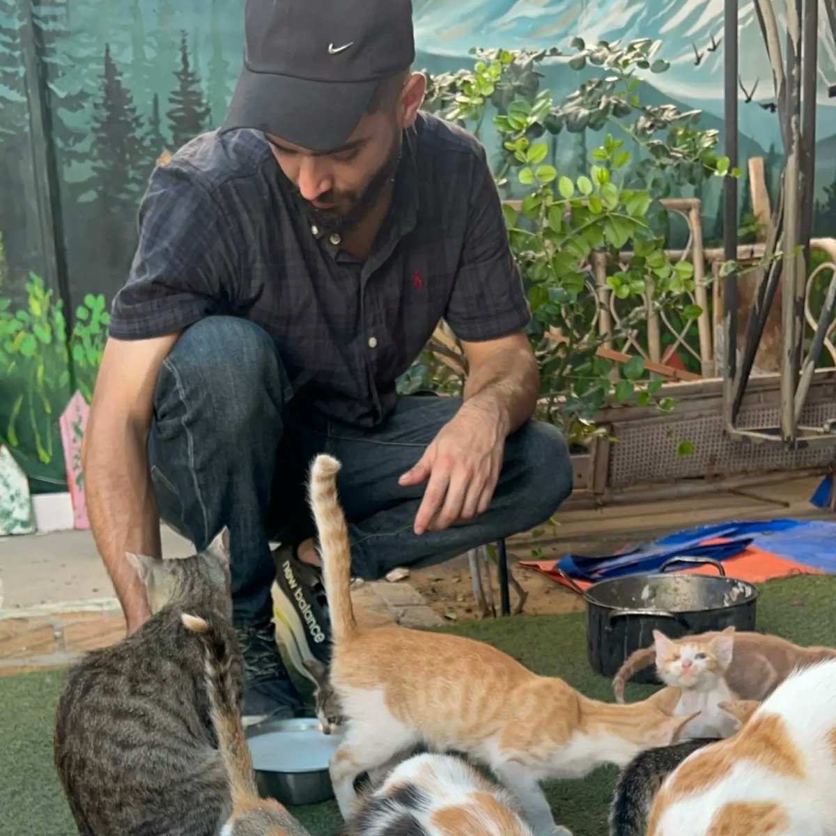 leahrobertseeew's tweet photo. We’re grateful to provide for these helpless animals. They have no one else. Thank you to everyone supporting our mission. We love you all—please don’t forget Gaza’s animals. https://t.co/ZRpBQYRc6D