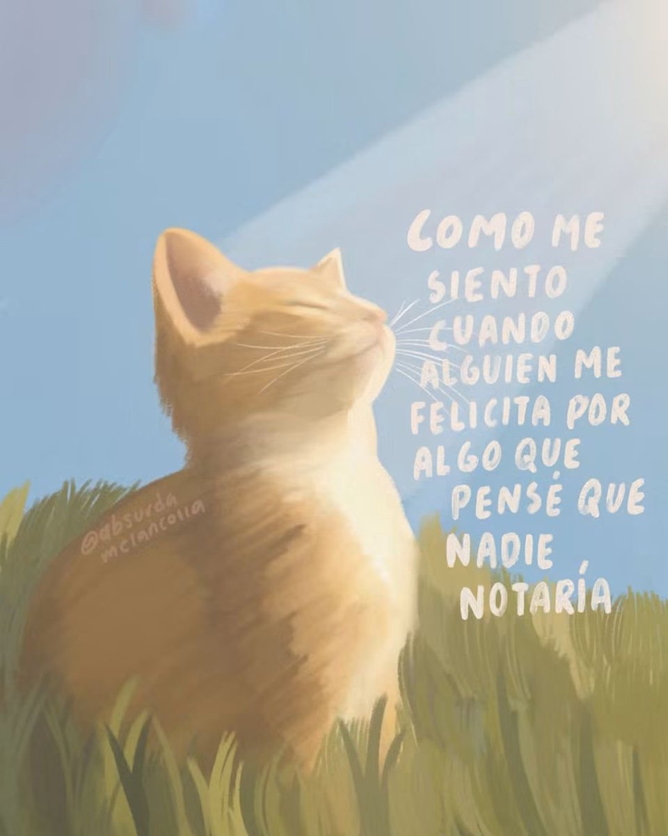 absurdamela's tweet photo. https://t.co/lVMrHXOy21