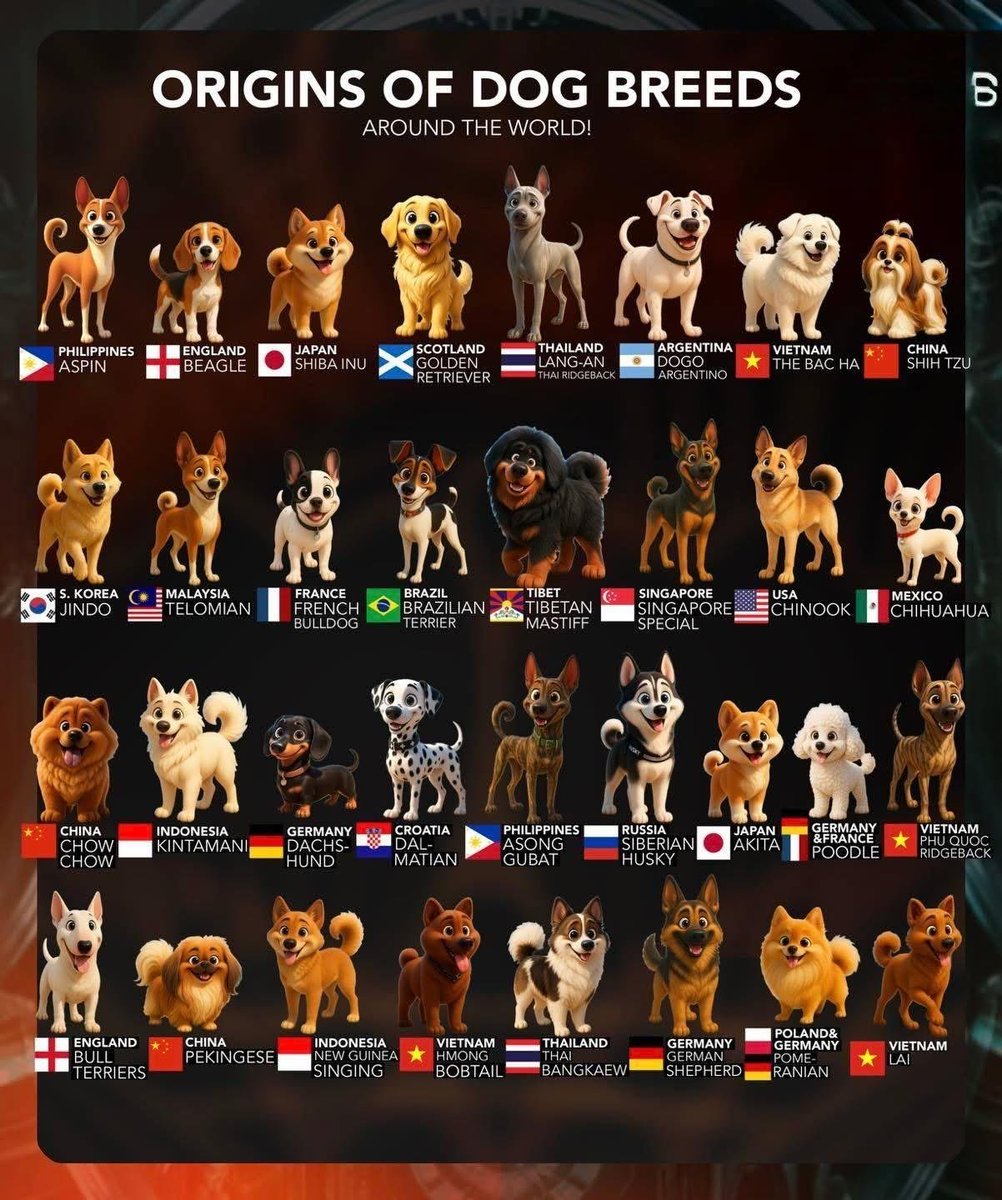 statsglobe's tweet photo. Origins of Dog Breeds

🇵🇭 Philippines – Aspin
🏴󠁧󠁢󠁥󠁮󠁧󠁿 England – Beagle
🇯🇵 Japan – Shiba Inu
🏴󠁧󠁢󠁳󠁣󠁴󠁿 Scotland – Golden Retriever
🇹🇭 Thailand – Lang-An / Thai Ridgeback
🇦🇷 Argentina – Dogo Argentino
🇻🇳 Vietnam – The Bac Ha
🇨🇳 China – Shih Tzu
🇰🇷 South Korea – Jindo
🇲🇾 Malaysia – Telomian
🇫🇷 France – French Bulldog
🇧🇷 Brazil – Brazilian Terrier
🇨🇳 Tibet – Tibetan Mastiff
🇸🇬 Singapore – Singapore Special
🇺🇸 USA – Chinook
🇲🇽 Mexico – Chihuahua
🇨🇳 China – Chow Chow
🇮🇩 Indonesia – Kintamani
🇩🇪 Germany – Dachshund
🇭🇷 Croatia – Dalmatian
🇵🇭 Philippines – Asong Gubat
🇷🇺 Russia – Siberian Husky
🇯🇵 Japan – Akita
🇩🇪🇫🇷 Germany & France – Poodle
🇻🇳 Vietnam – Phu Quoc Ridgeback
🏴󠁧󠁢󠁥󠁮󠁧󠁿 England – Bull Terriers
🇨🇳 China – Pekingese
🇮🇩 Indonesia – New Guinea Singing Dog
🇻🇳 Vietnam – Hmong Bobtail
🇹🇭 Thailand – Thai Bangkaew
🇩🇪 Germany – German Shepherd
🇵🇱🇩🇪 Poland & Germany – Pomeranian
🇻🇳 Vietnam – Lai