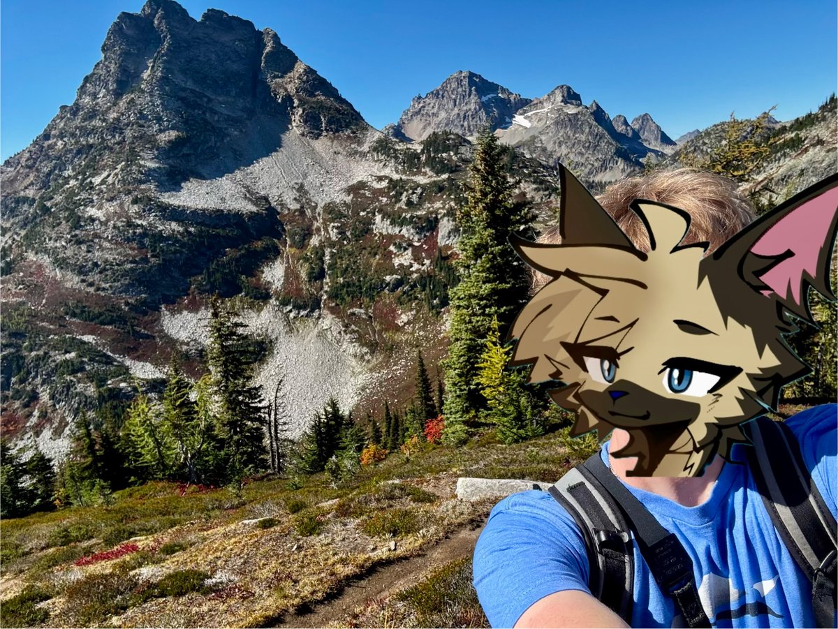 Rufus_Doggo's tweet photo. I love going outside :3 https://t.co/5shpump5mV