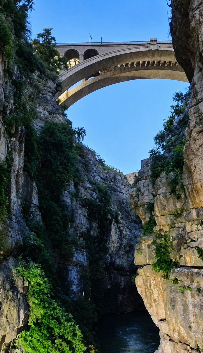 tourisme25's tweet photo. قسنطينة أعجوبة في تنوعها 😍😍 من على جسر الشيطان في عمق الصخر العتيق التقط صورة لجسر سيدي راشد في الاعلى ، هنا الجسور في كل الاتجاهات ، متقابلة و فوق بعضها البعض ❤ https://t.co/m5XLfRPKlK