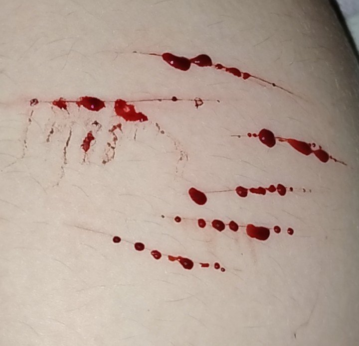 Kaiden_boi's tweet photo. @idontwannagotoz Lwk pathetic ones but I was working with a dull pencil sharpener blade and a dream cuz I lost my eyebrow razor😭✌️ https://t.co/IFe3ew7fKY