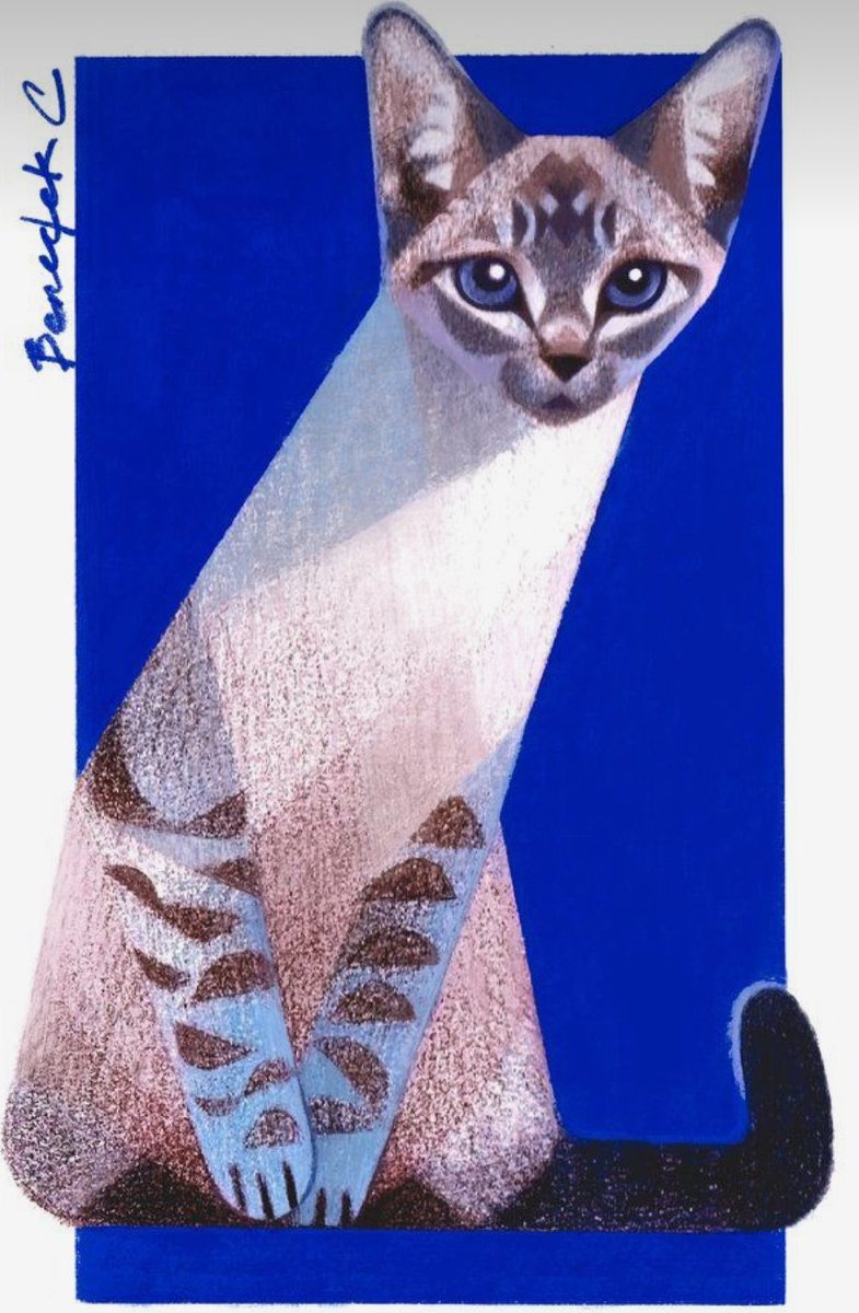 pmamtraveller's tweet photo. Cats by artist Benedek Chen https://t.co/F7MsjD3sGX